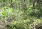Wickham NSWsustainable-landscaping-21.jpg; ?>